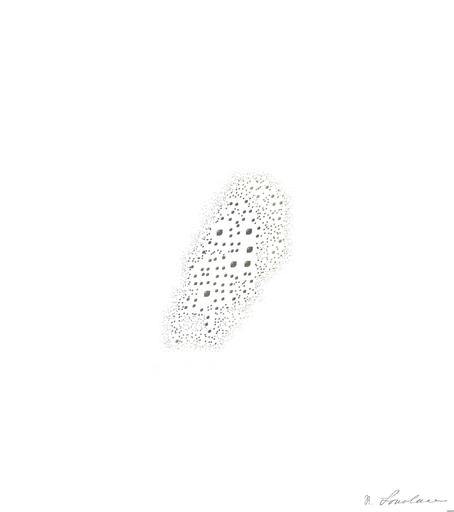 Drawn by bot 7kmHLfbBRer25V7ZheGdt8; art-quadrangle; None AI art