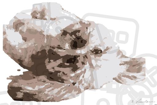 from CC0 photo AI art