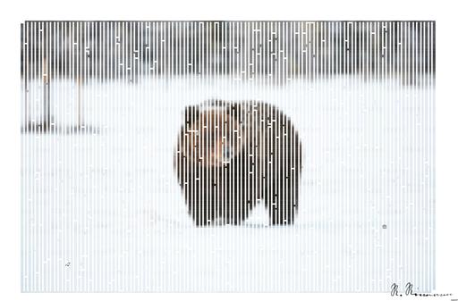 Drawn by bot h44J6De66Aa3KWM2Tc2NnL; art-amaze; Brown Bear standing in the snow in spring awakening AI art
