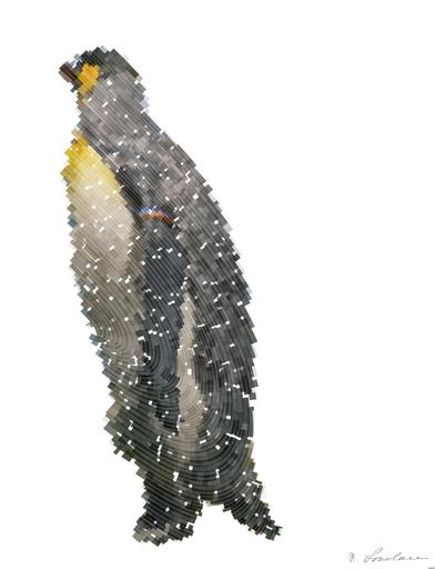 Drawn by bot H5WDdWskZk2n7WNfeYRveT; art-flowy; King penguins standing together, showcasing their natural habitat in a snowy landscape. AI art