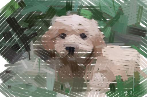 from CC0 photo AI art