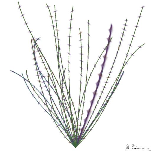Generative