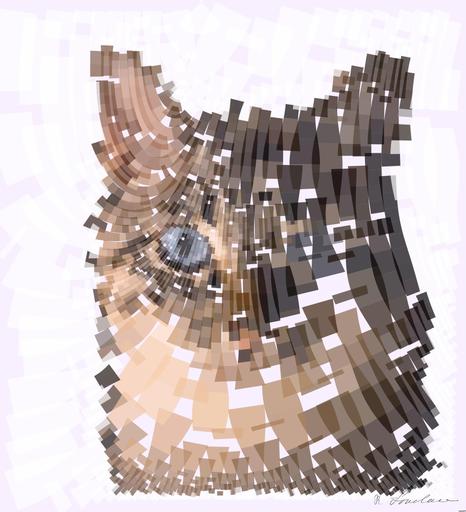 Drawn by bot mAnSHnWFuQKVzCJ8NAAgNz; art-flowy; close up photo of tabby cat AI art