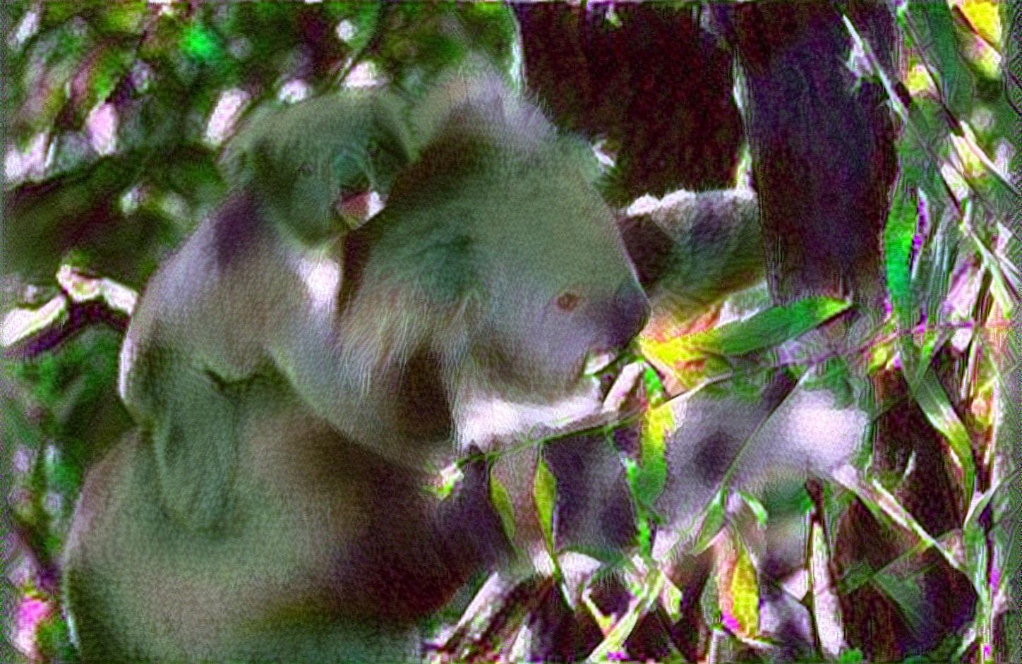 from CC0 photo AI Art