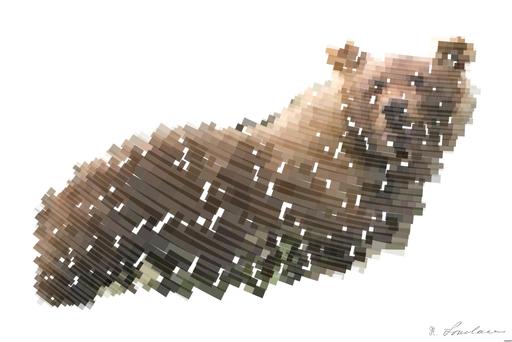 Drawn by bot M6iMYJFTuDFkNgPzgtZhi7; art-flowy; brown fox on green grass field during daytime AI art