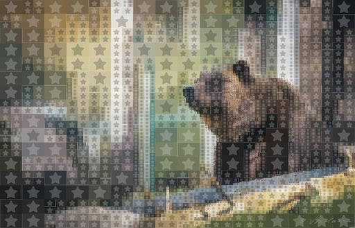 Drawn by bot gVLGGWcTzSwqmtSLB5vhmg; art-quadrangle; Close-up of a grizzly bear sitting peacefully in a forest setting, showcasing its powerful presence. AI art