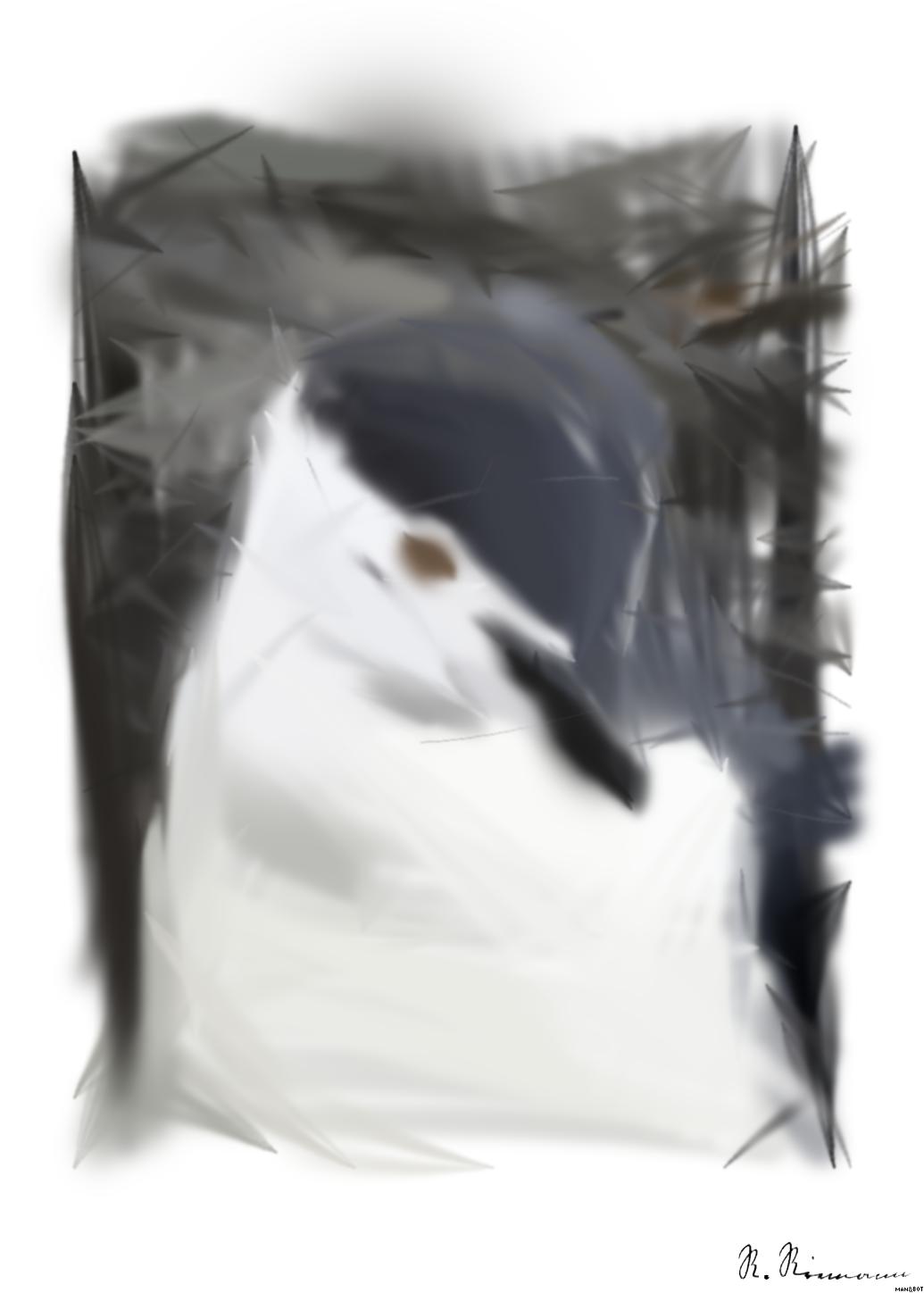 from CC0 photo AI Art