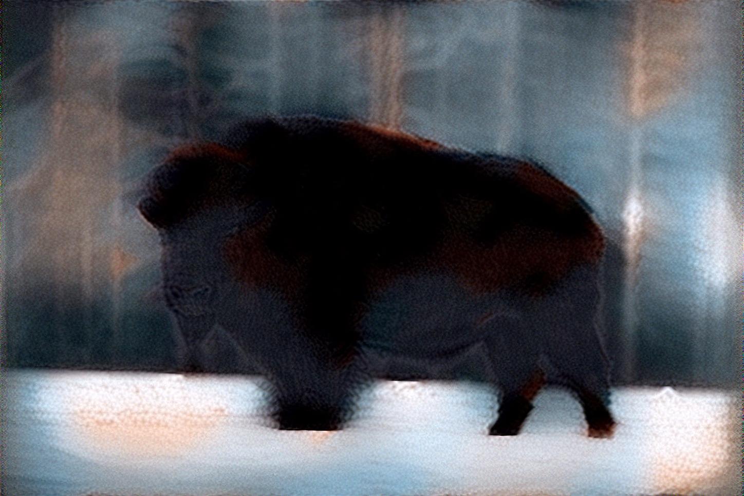 from CC0 photo AI Art