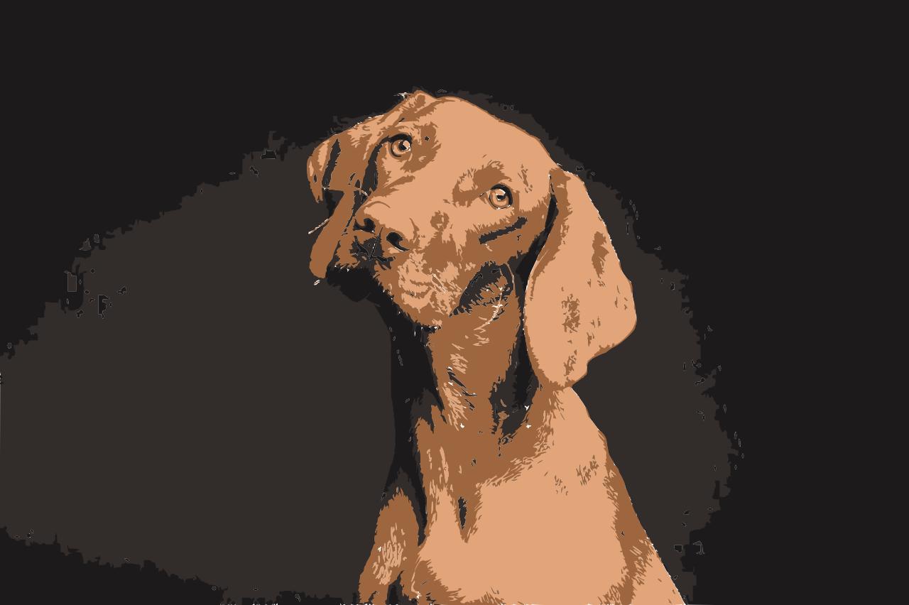 from CC0 photo AI Art