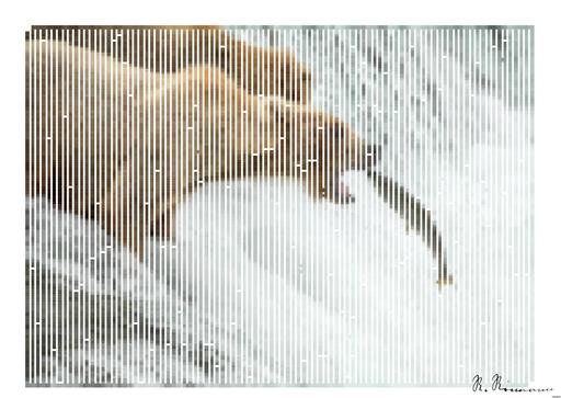 Drawn by bot HwnQNv48rDztYjxgQhXNET; art-amaze; two bears are fighting over a fish in a waterfall AI art