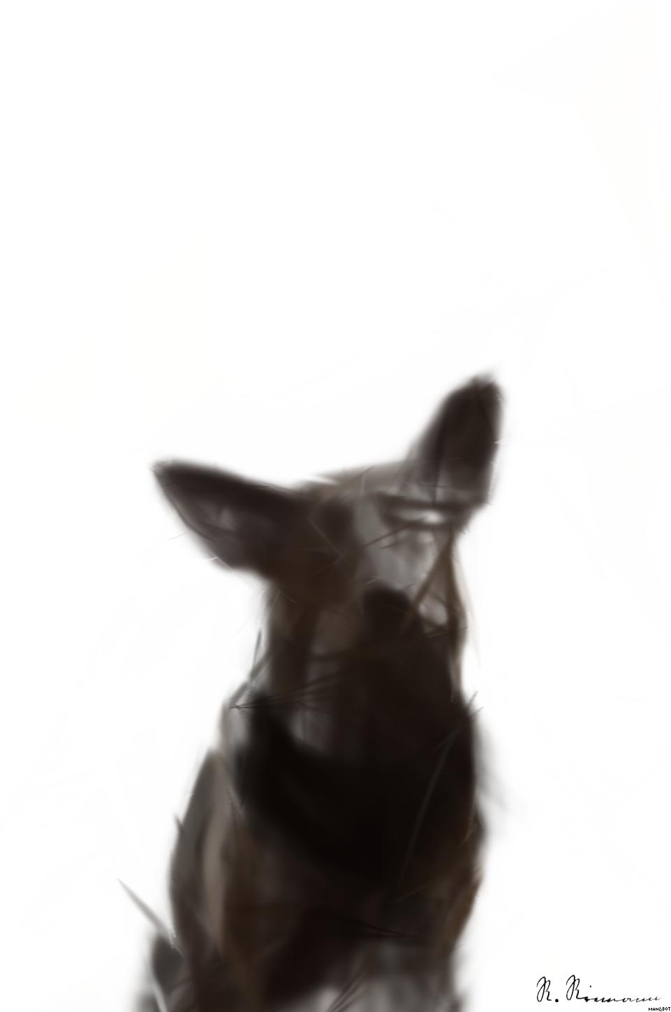 from CC0 photo AI Art