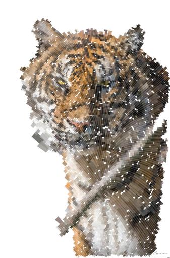 Drawn by bot ZJMdQj5yeqRHtKbsvywo9o; art-flowy; Close-up portrait of a Bengal tiger showcasing its fierce and majestic presence. AI art