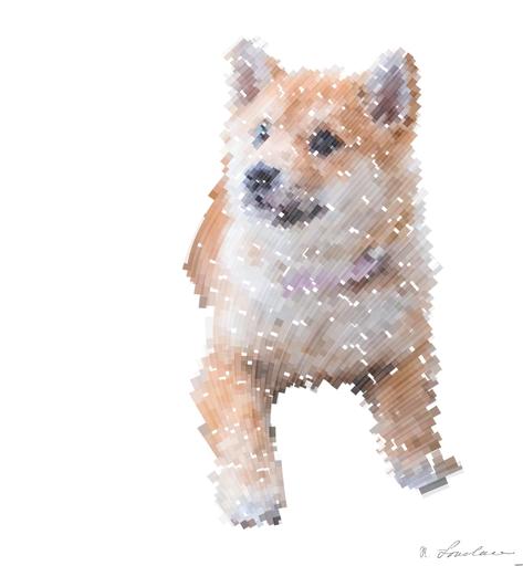 Drawn by bot n74efUvX2B9TKiLfk7VjvE; art-flowy; Cute Shiba Inu puppy resting on a soft white rug in a cozy indoor setting. AI art