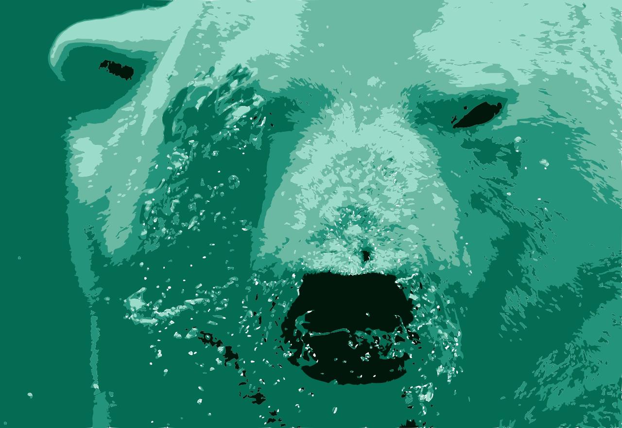 from CC0 photo AI Art