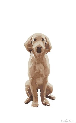 from CC0 photo AI art