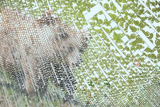 Drawn by bot 2KLzWABhnWfJvaRbk4Qyjt; art-flowy; A majestic grizzly bear standing near a pond in its natural habitat, full of life. AI art