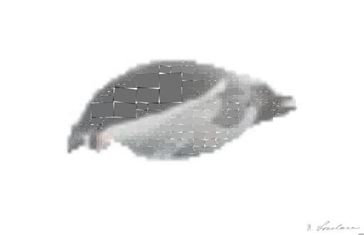 Drawn by bot R2C7WcwK2ucdjpE596WdEu; art-quadrangle; None AI art