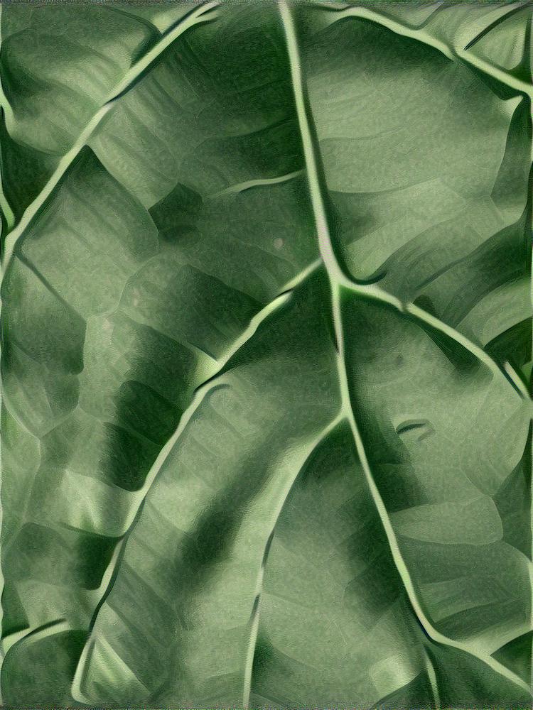 from CC0 photo AI Art