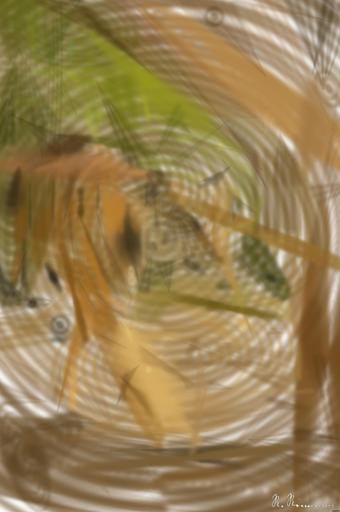 from CC0 photo AI art