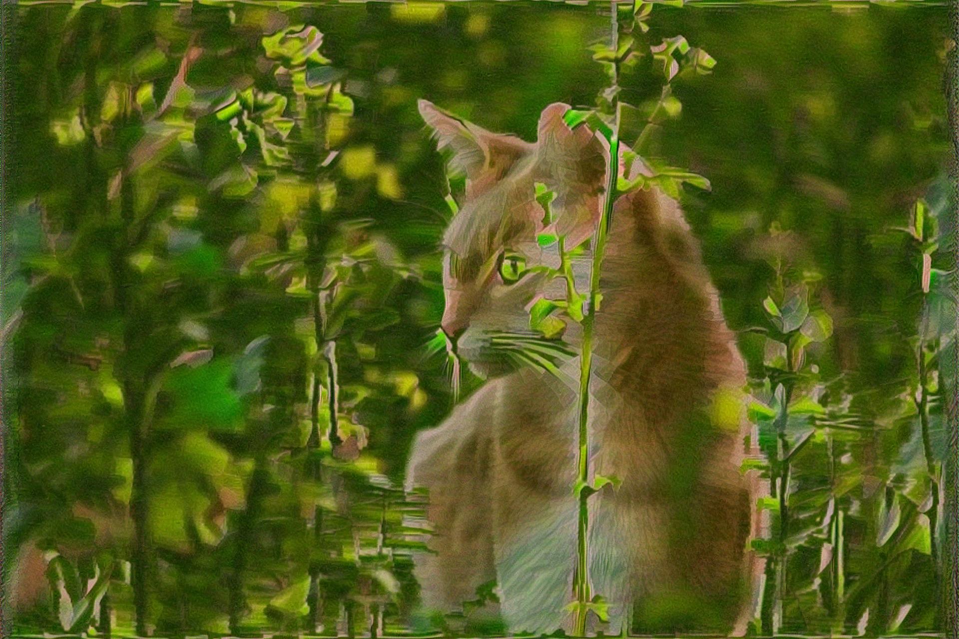 from CC0 photo AI Art