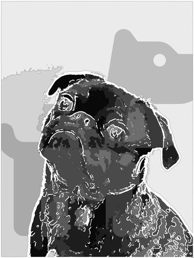 Drawn from photo on Pexels: Captivating portrait of a black pug gazing curiously, captured in monochrome. AI art