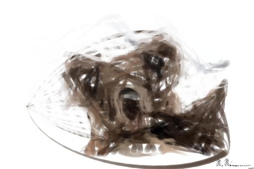 from CC0 photo AI art