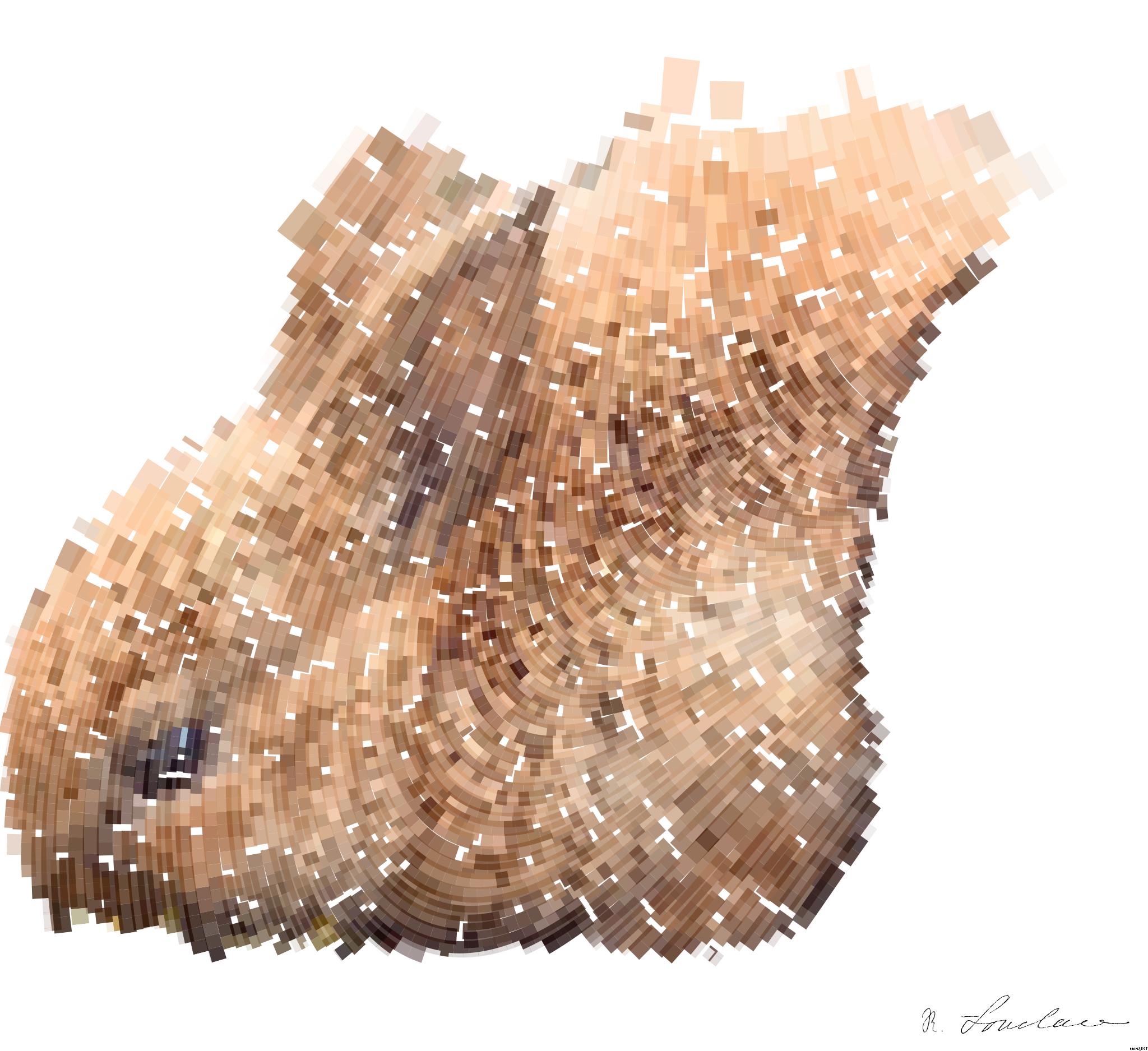 from CC0 photo AI Art