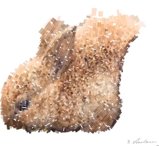 from CC0 photo AI art