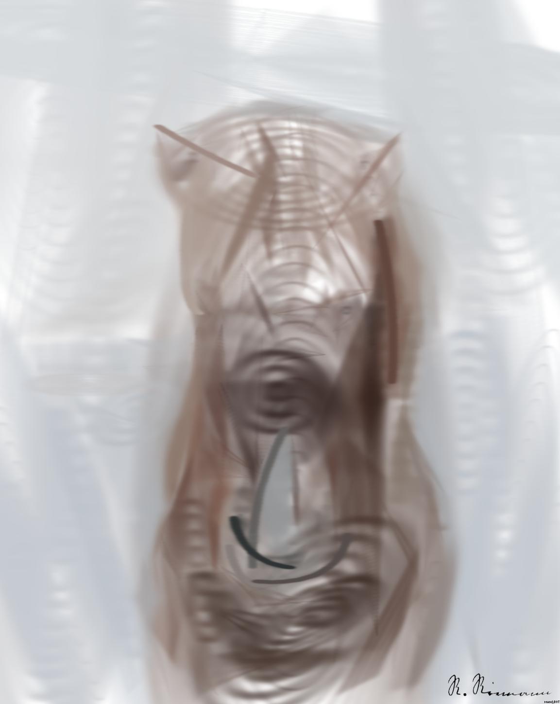 from CC0 photo AI Art