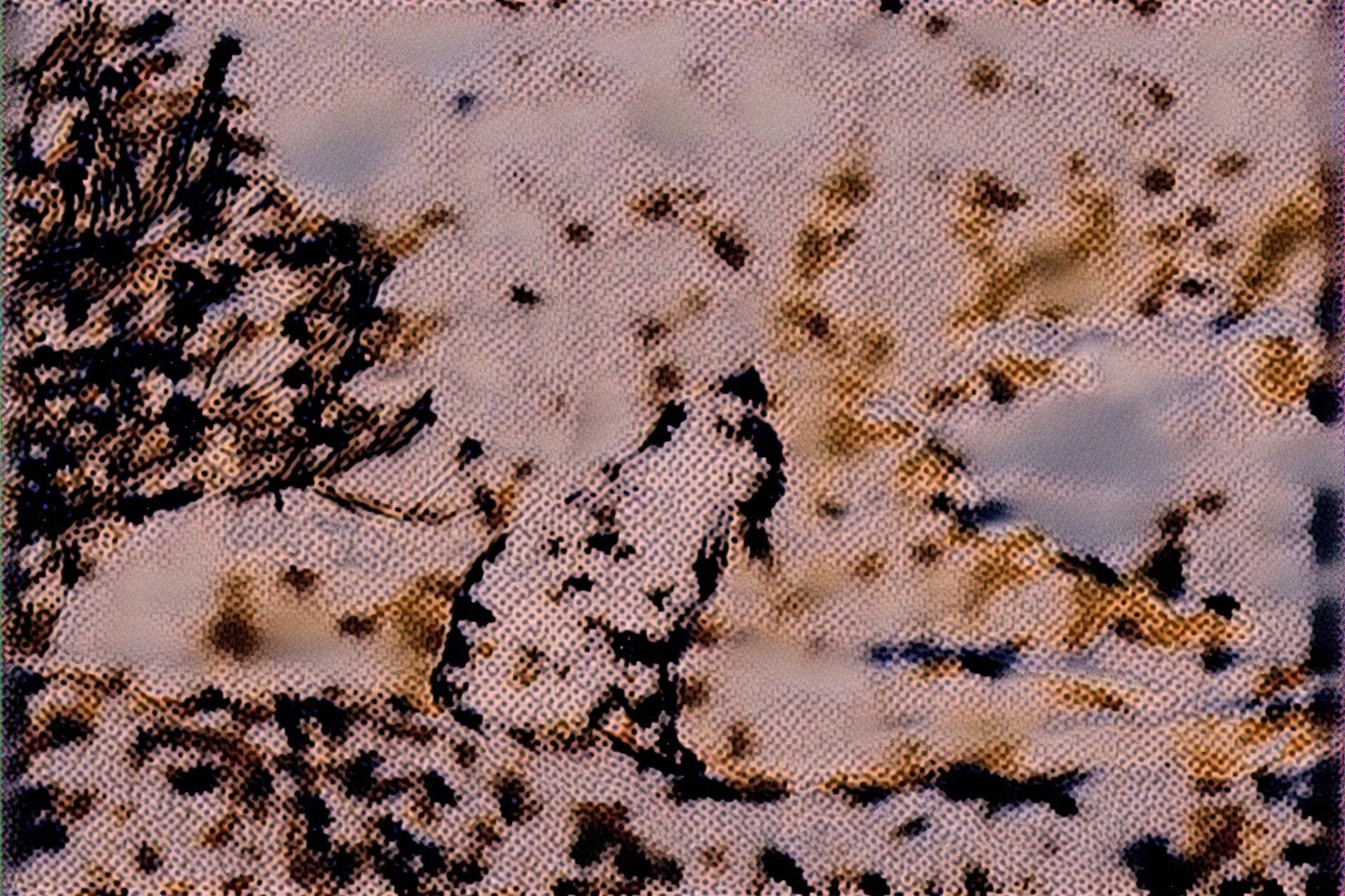 from CC0 photo AI Art