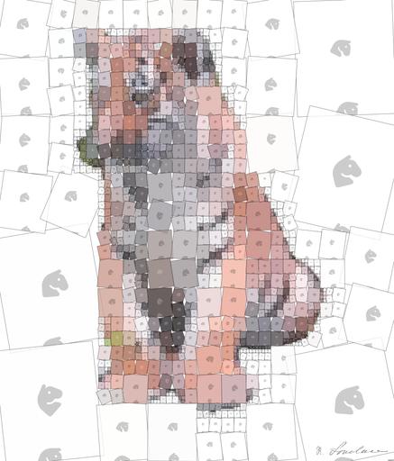 Drawn by bot C74uwJPCRu5r29ZVBJaoRz; art-quadrangle; None AI art