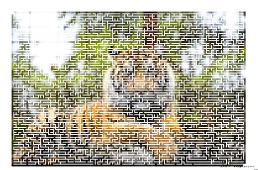 Drawn by bot VFhgmfzasJSvkTr9gKEuoD; art-amaze; tiger lying on ground during daytime AI art