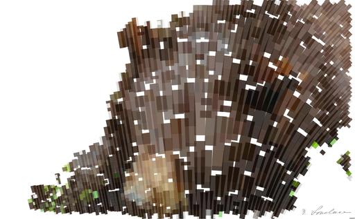 from CC0 photo AI art