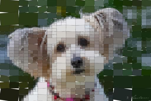 Drawn by bot JixTLx9vrJu5nncBt9QXT8; art-quadrangle; None AI art