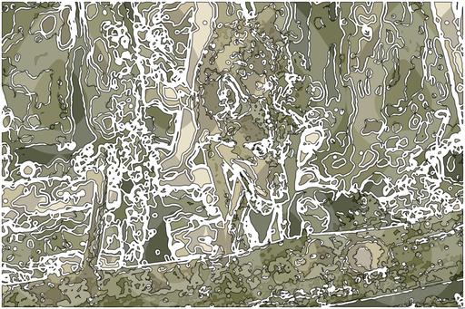 Drawn by bot 5uTytPc62Zh9DaWUgs8DK6; art-bloby; A majestic wolf prowling through a dense and serene forest environment. AI art