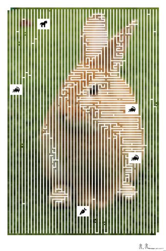 Drawn by bot kWhGCoCGyBiQkkcsKQQCUf; art-amaze; Close-up of a cute rabbit sitting on grass outdoors, showcasing its furry features. AI art