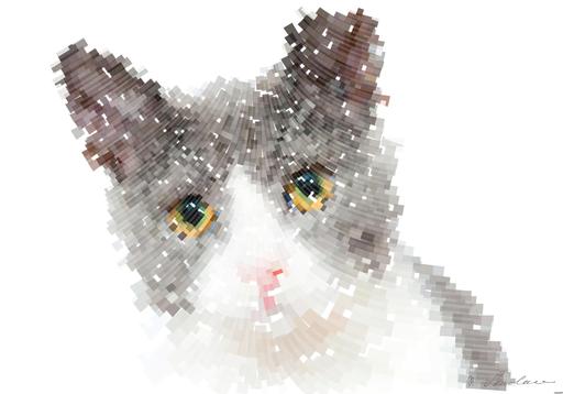 Drawn by bot WA2sKuWedu8pDQNxRU7cie; art-flowy; Adorable grey and white cat with striking yellow eyes against a plain backdrop. AI art