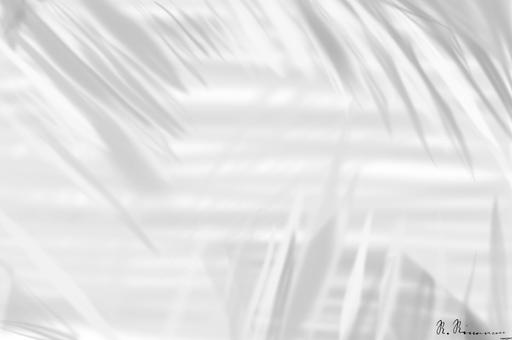 Drawn by bot 9Jds5w9XKy92KnFGzJXdiM; art-primitive-paintbrush-ii; Black and white abstract architectural photo with modern minimalist curved lines in New York. AI art
