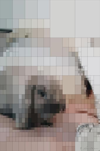 from CC0 photo AI art