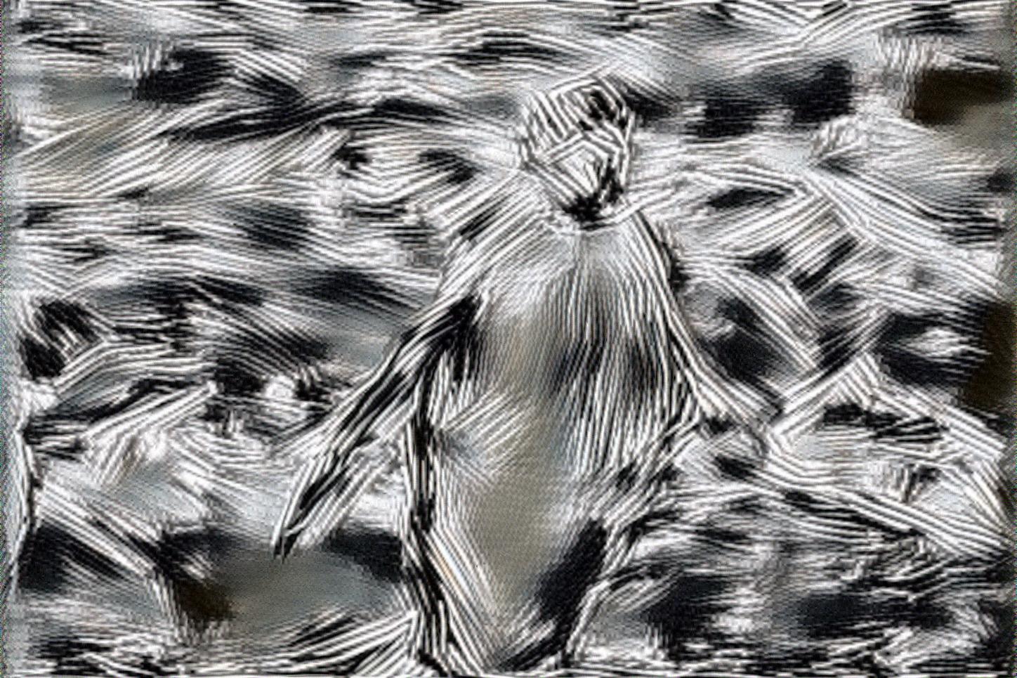 from CC0 photo AI Art