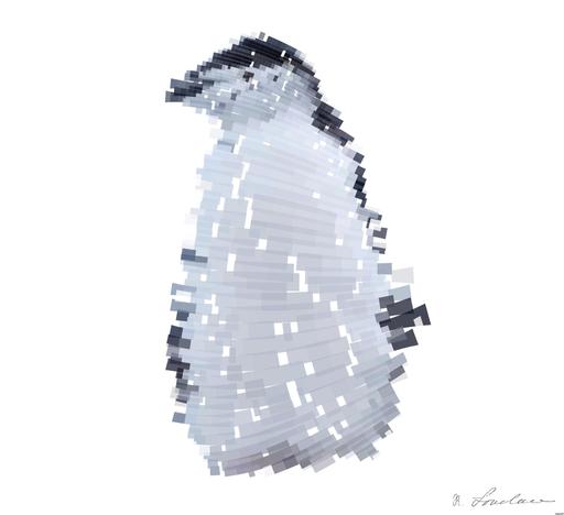 Drawn by bot JoS96Bqz3CC2sgb9EZCueV; art-flowy; white-and-black penguins on rocks AI art