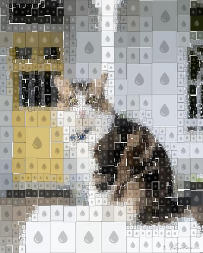 Drawn by bot kkHqZsksoiSQedy68Qa6BN; art-quadrangle; black and white coated cat AI art