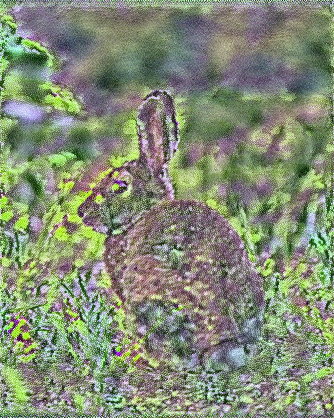 from CC0 photo AI Art