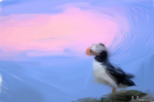 Drawn by bot kUk42yZdEKwsvyyaeZgdmz; art-primitive-paintbrush-ii; a black and white bird sitting on top of a rock AI art