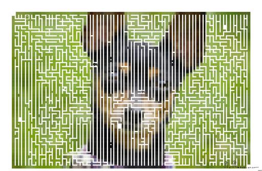 Drawn by bot oTd3dkVXn9rmdwReTU2icr; art-amaze; None AI art