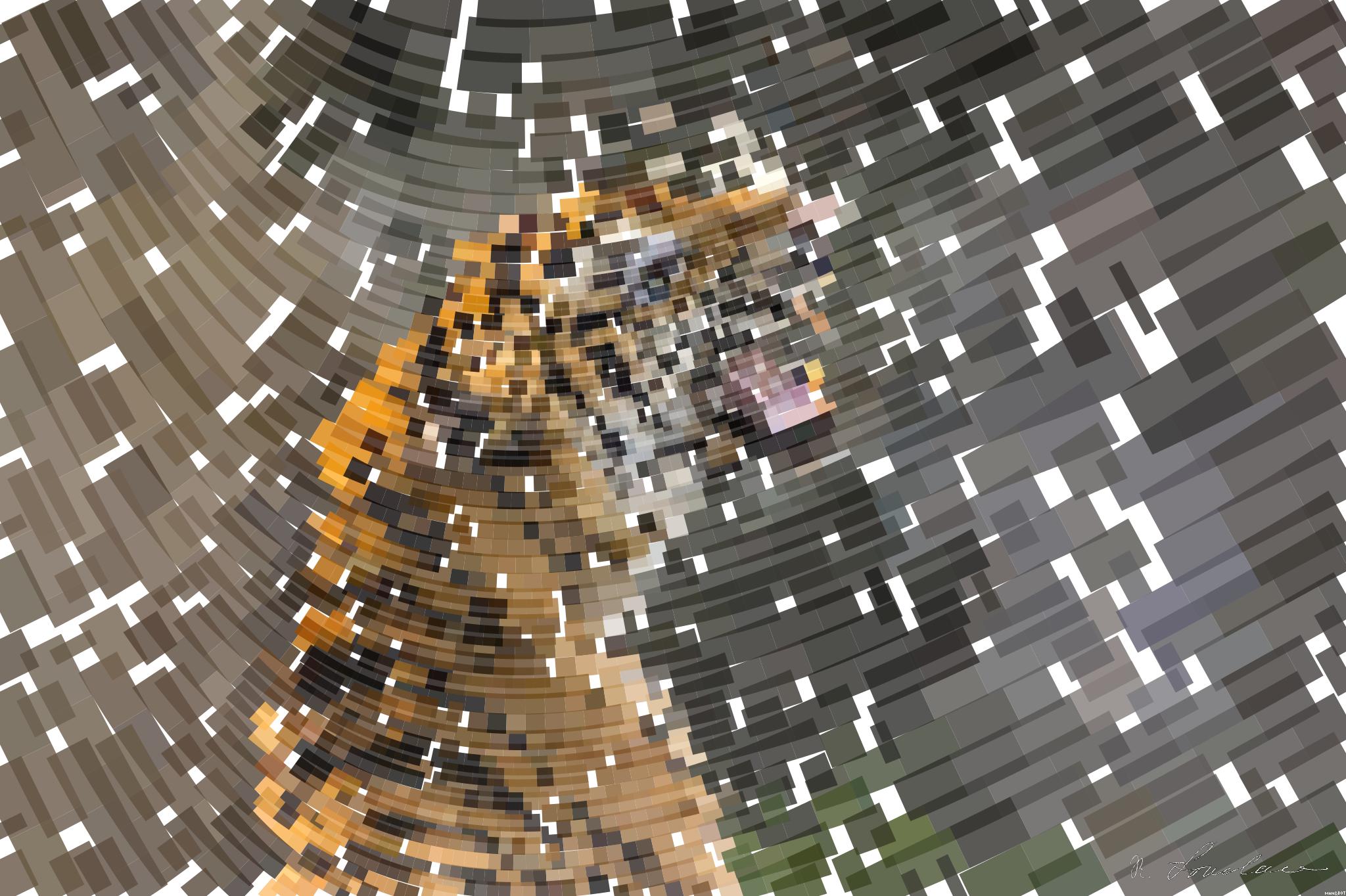Drawn from photo on Pixabay: None AI Art