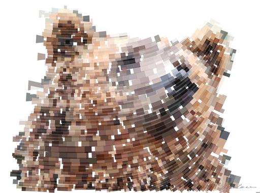 Drawn by bot K95iCinLnuKAQdKfmhSUft; art-flowy; Detailed close-up of a brown bear's face, showcasing its expressive eyes and fur texture. AI art