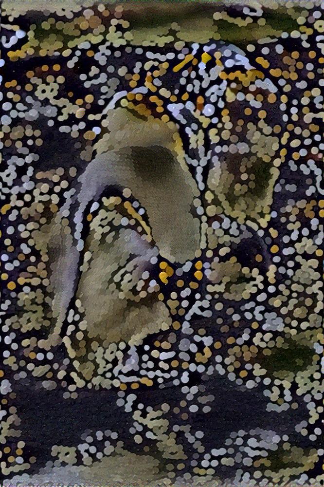 from CC0 photo AI Art