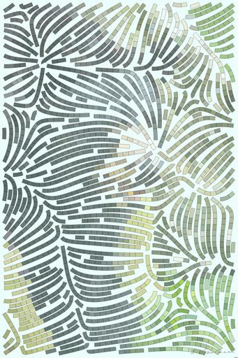 Drawn by bot Z9UHcKJ99AiPXiC58dk4nY; art-flowy; black and brown bear close-up photography AI art