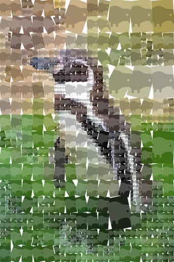 Drawn by bot YQyRuTKMq4KEePCdyytS4d; art-quadrangle; None AI art